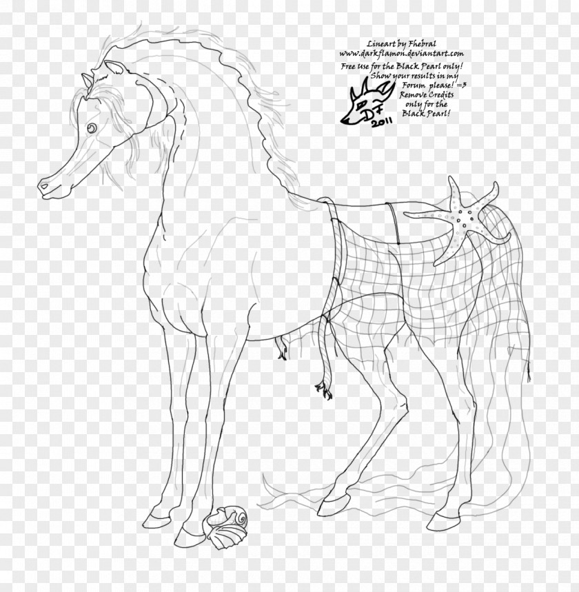 Seahorse Pony Mustang Stallion Colt Rein PNG