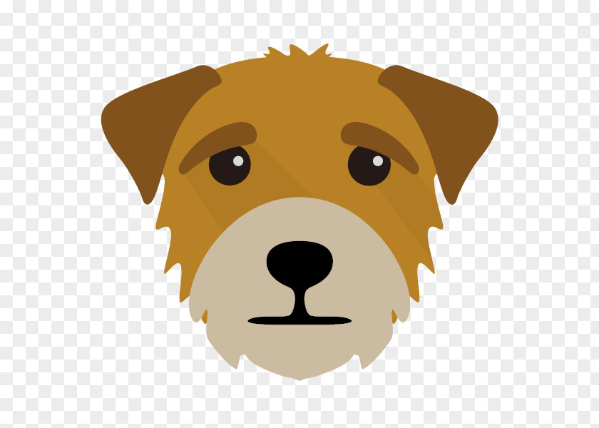 Cute Border Terrier Blonde Dog Breed Whiskers PNG