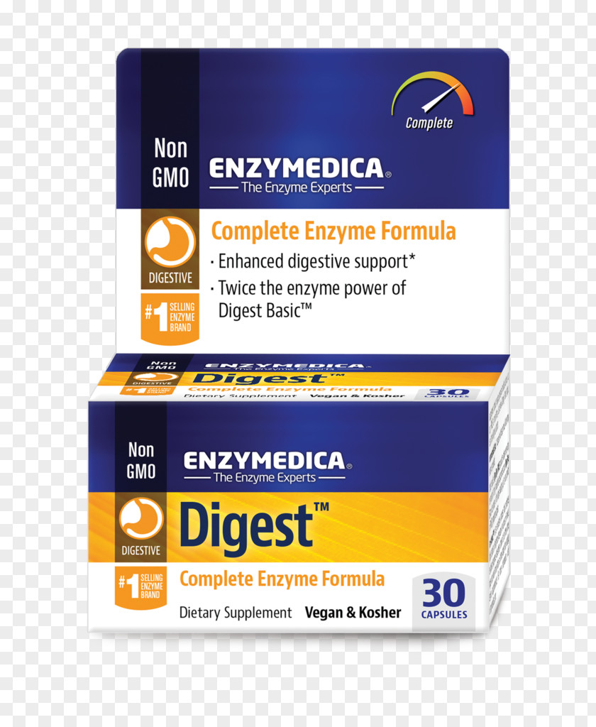 Digest Digestion Digestive Enzyme Probiotic Dietary Supplement PNG