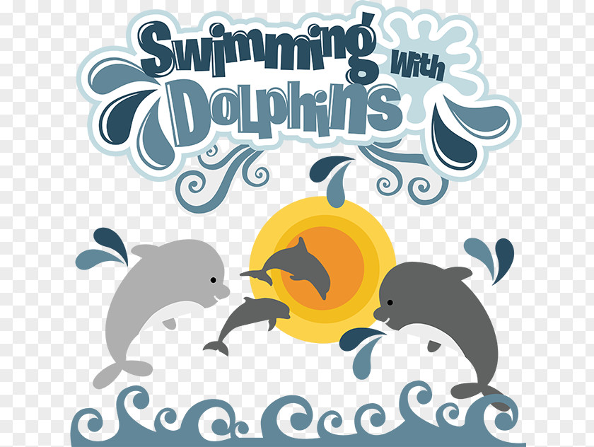 Dolphin Swimming Cliparts Clip Art PNG