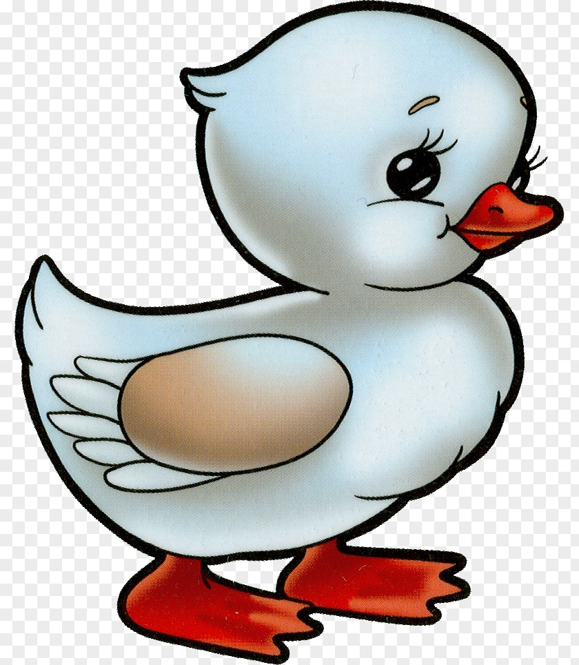 Ducks Geese And Swans Duck Cartoon Bird Beak Ducks, PNG