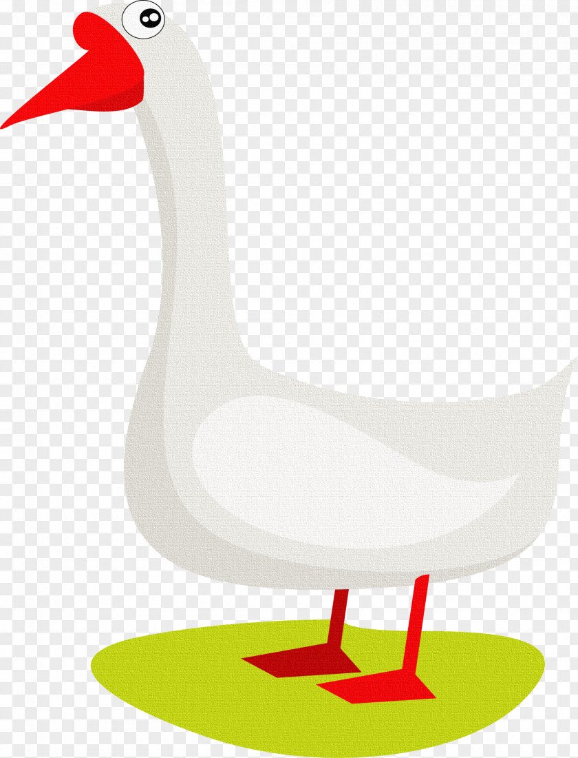 Goose Domestic Duck Clip Art PNG