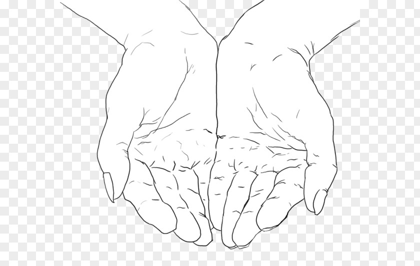 Hand With Pencil Autodesk Mudbox Thumb Tutorial PNG