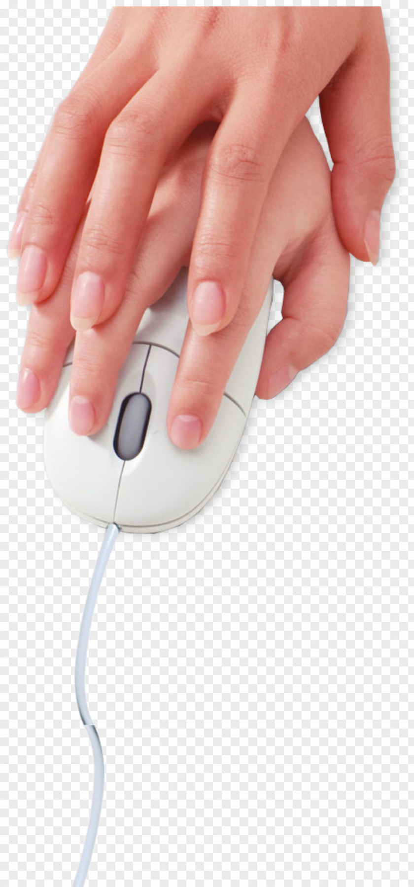 Holding The Mouse Nail Electronics Chinglish PNG