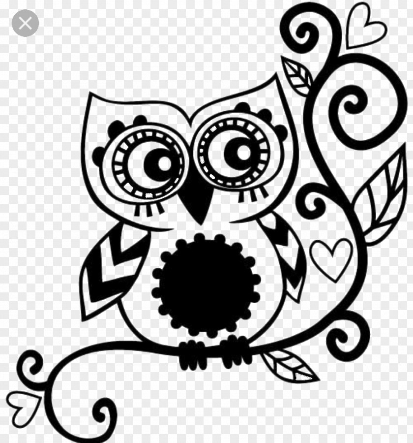 Owl Wall Decal Sticker Polyvinyl Chloride PNG