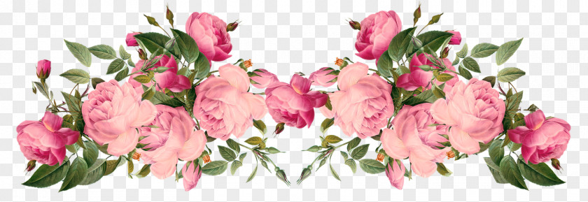 Peonies Flower Rose Pink Clip Art PNG