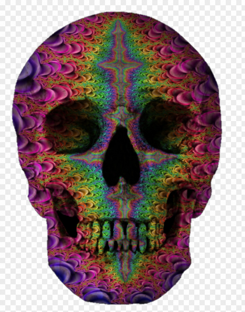 Skull Bone Tooth Human Body PNG