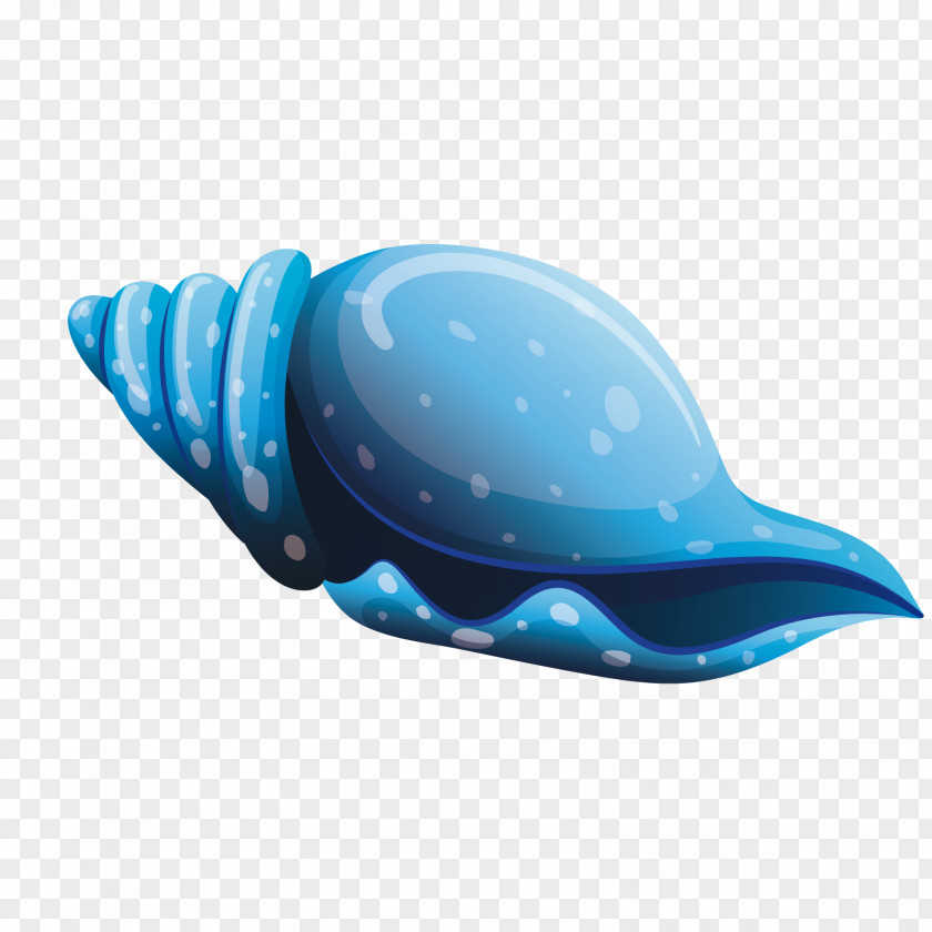 Vector Conch Seashell Sea Snail PNG