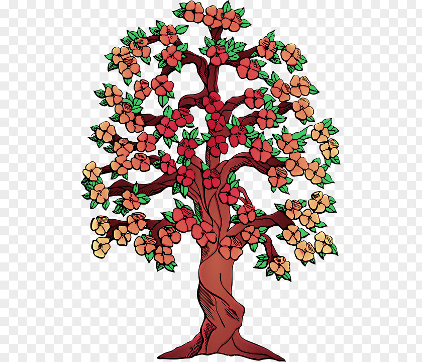 Woody Plant Tree Clip Art PNG