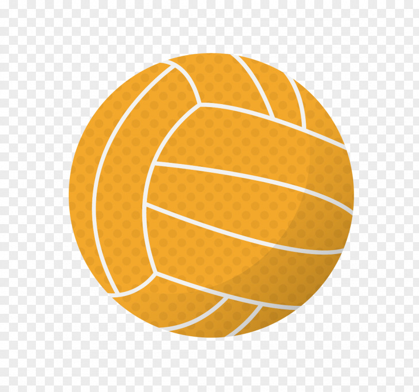 Basketball Volleyball Franzxf6sischer Sport- Und Kulturbund Game PNG