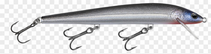 Fishing Baits & Lures Minnow PNG