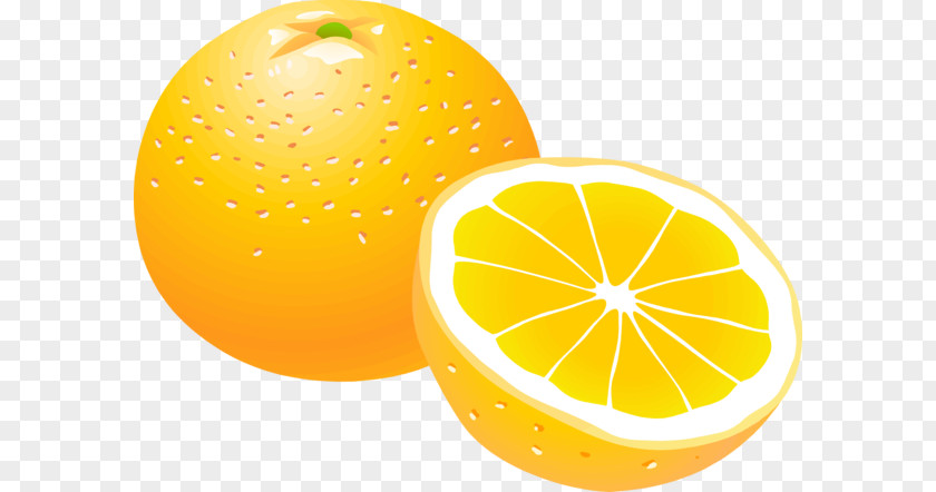 Fruits Vector Orange Clip Art PNG