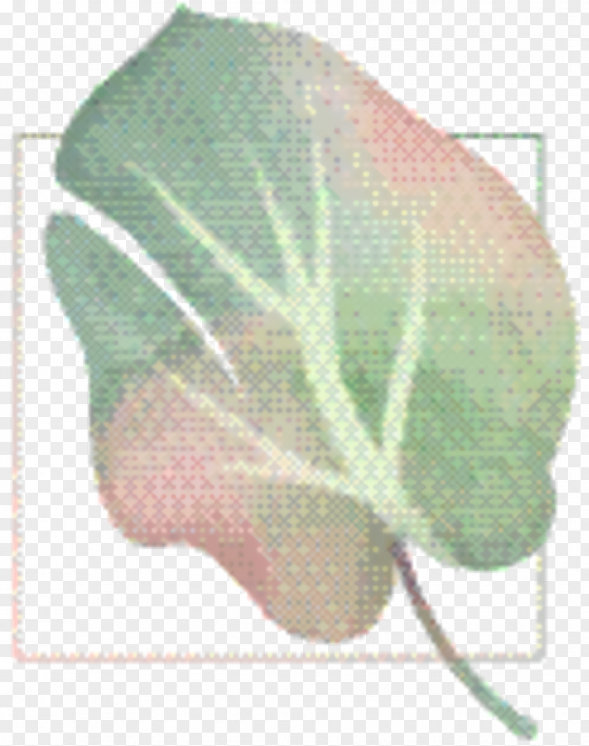Morning Glory Anthurium Sweet Pea Flower PNG