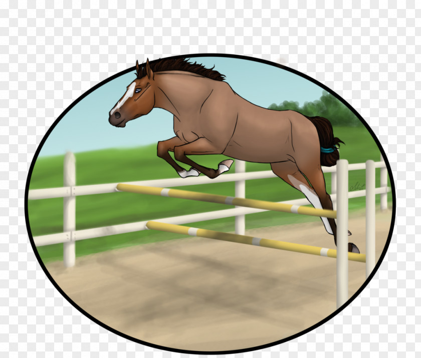 Mustang Hunt Seat Mane Bridle Stallion PNG