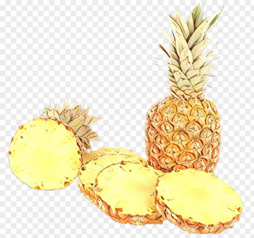 Poales Plant Pineapple PNG