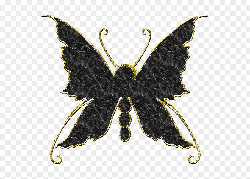 Scrap Butterfly Photography Moth Clip Art PNG