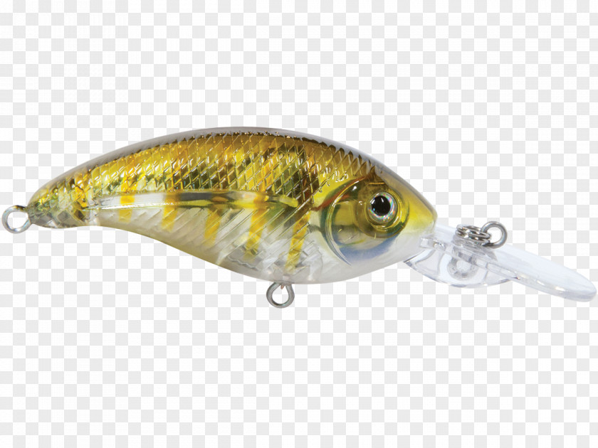Bream Spoon Lure Perch Fish AC Power Plugs And Sockets PNG