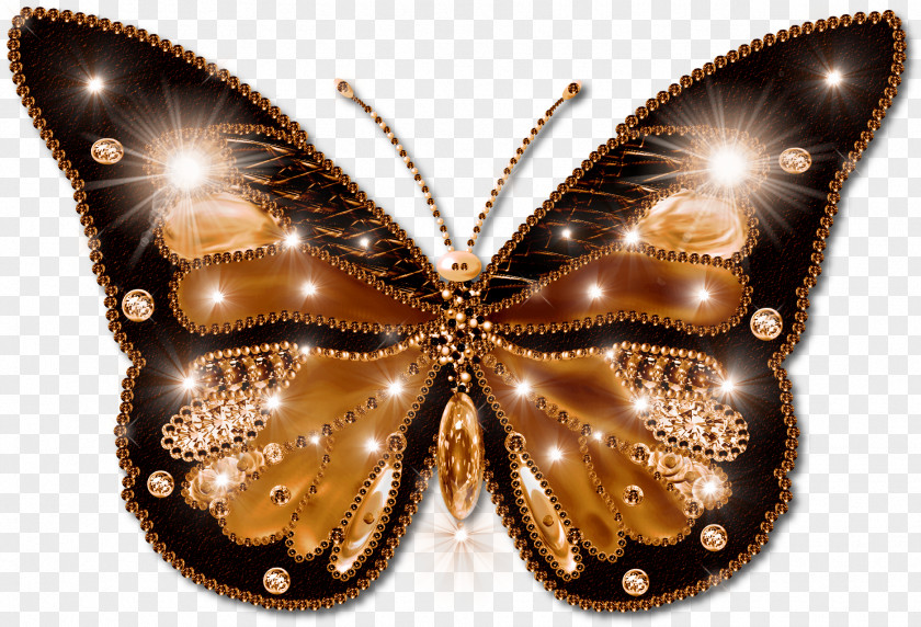 Butterfly Image File Formats Clip Art PNG