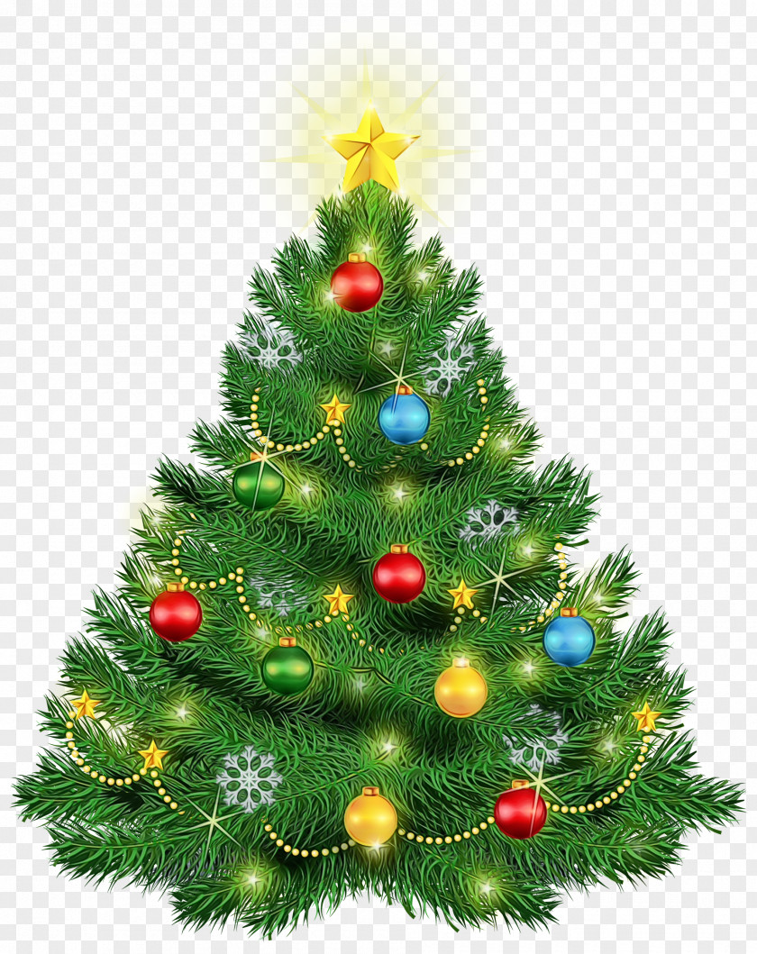 Christmas Tree PNG