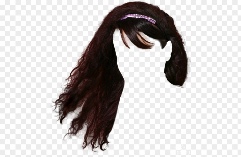 Hair Wig Long PNG