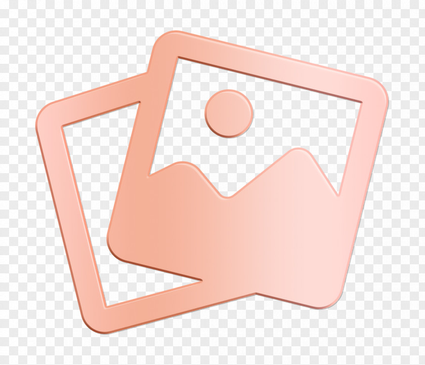 Photograph Icon Interface Bold Web Application PNG