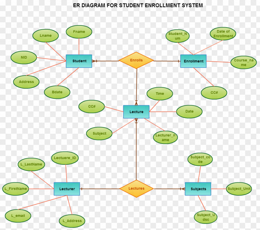 Relationship Entity–relationship Model Diagram Database Toad Data Modeler Information PNG