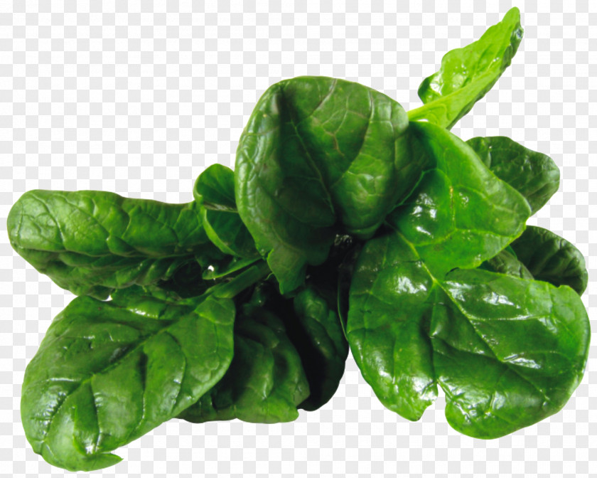 Spinach Salad Vegetarian Cuisine Leaf Vegetable PNG