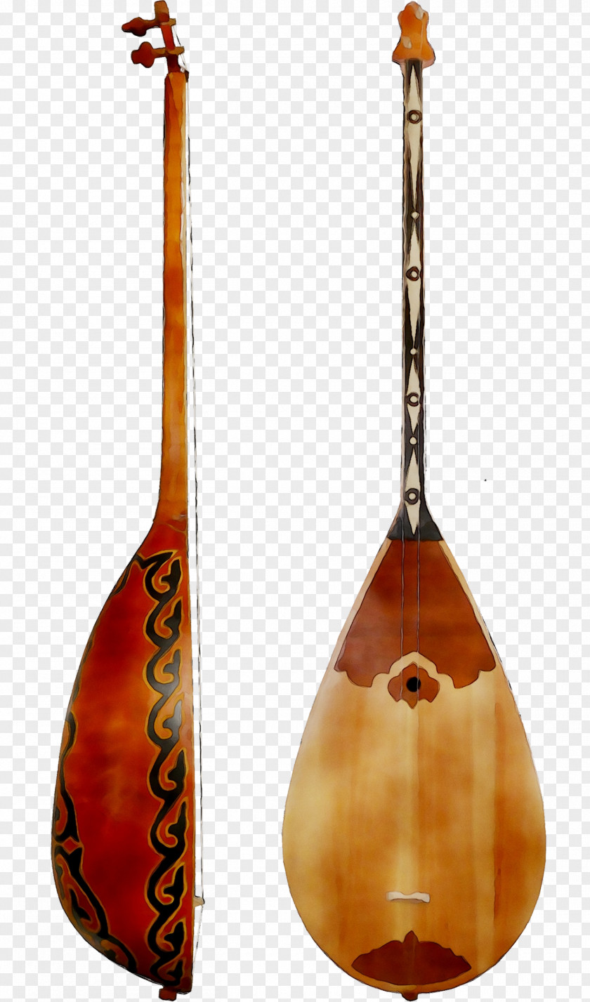 Tanbur Musical Instruments Indian People PNG