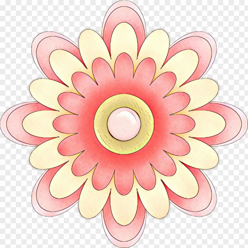 Wheel Peach Petal Flower Pink Gerbera Clip Art PNG