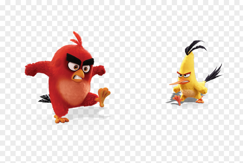 Angry Chick Anger Animation PNG
