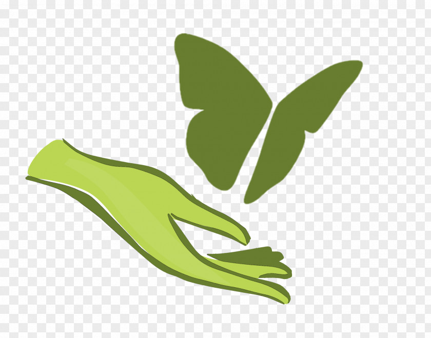 Chemical Dependency Treatment Facillity Therapy Hospital Health CareHand Painted Green Logo Butterfly The Heights PNG