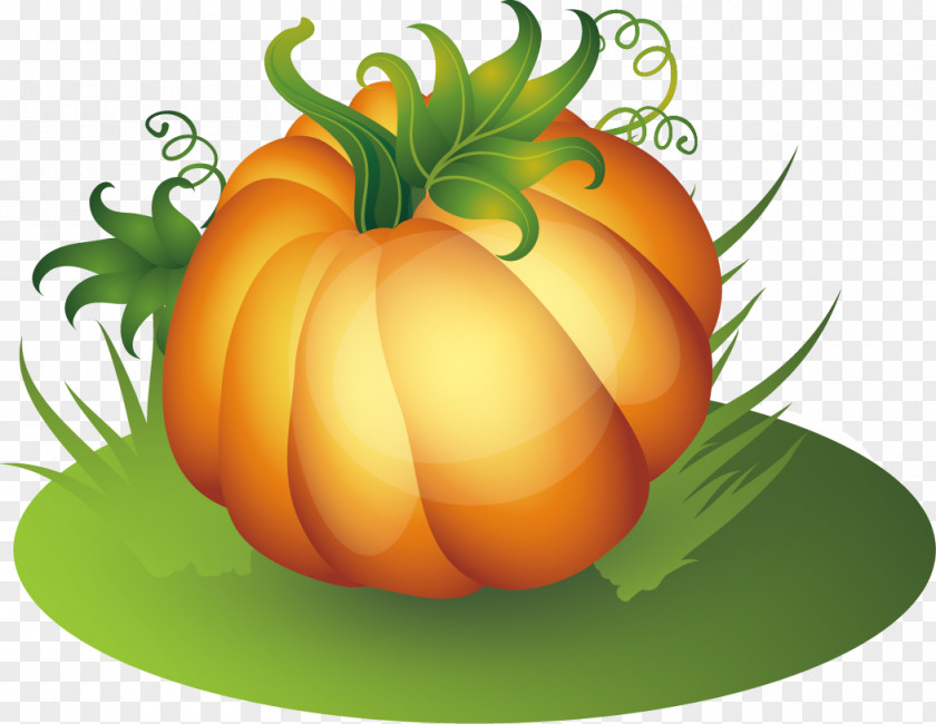 Creative Pumpkin Thanksgiving PNG