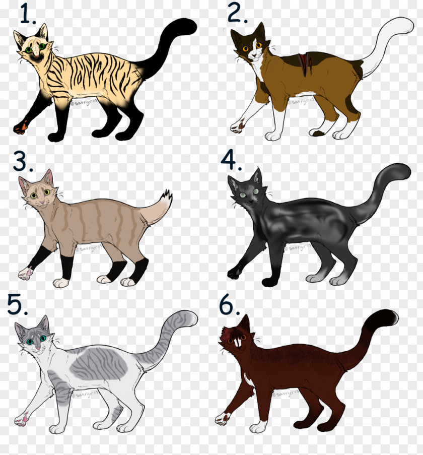 Kitten Warriors Siamese Cat Adoption Coloring Book PNG