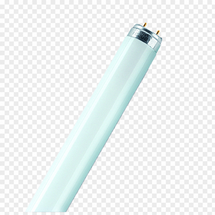 Light Fluorescent Lamp Fluorescence Neon PNG