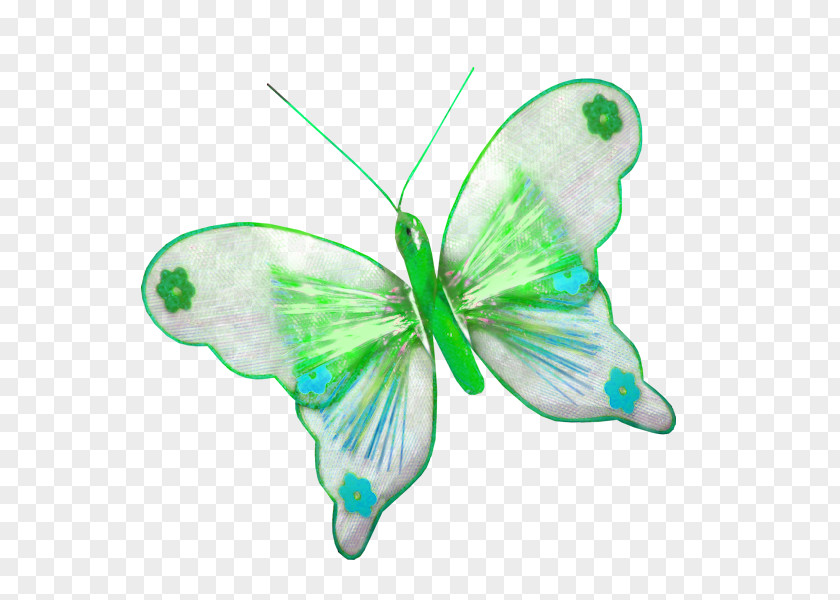 Log Texture Butterfly Insect Clip Art PNG