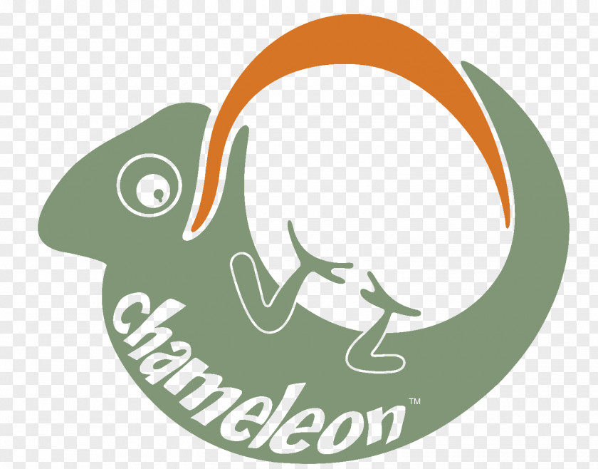 Chameleon Dutchware Gear Hammock Camping Chameleons Ultralight Backpacking PNG