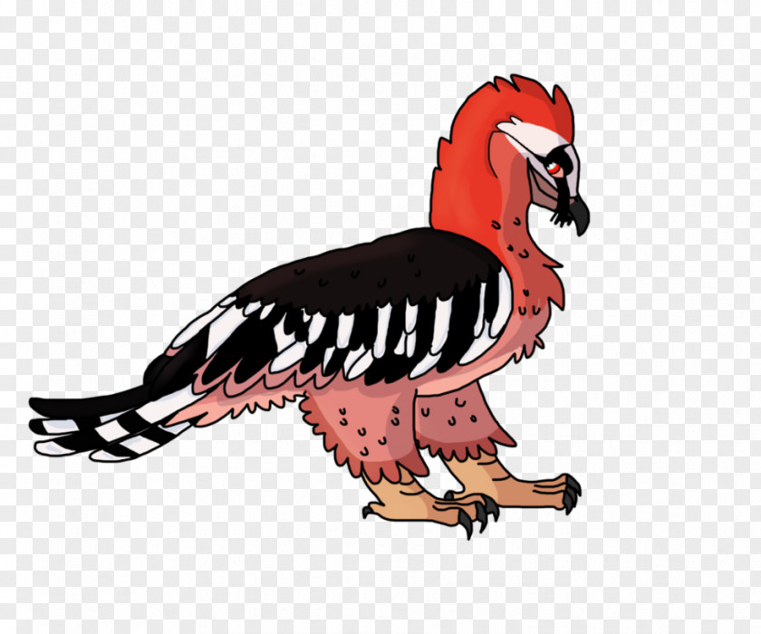 Chicken Goose Cygnini Bird Duck PNG