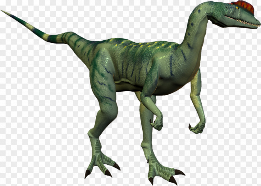 Dinosaur Tyrannosaurus Velociraptor Brachiosaurus 3D VR PNG