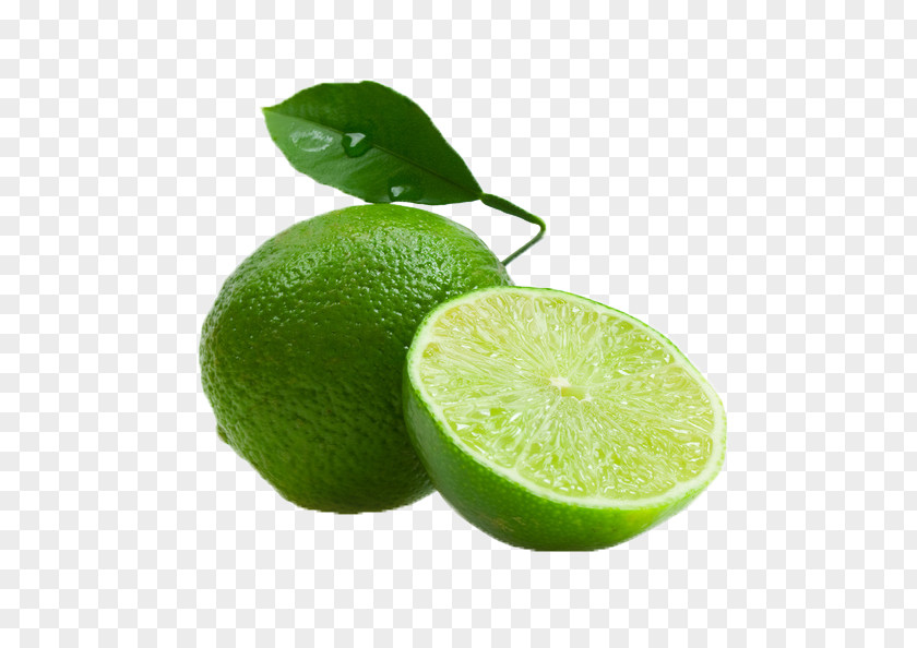 Lemon Key Lime Lemon-lime Drink Juice PNG