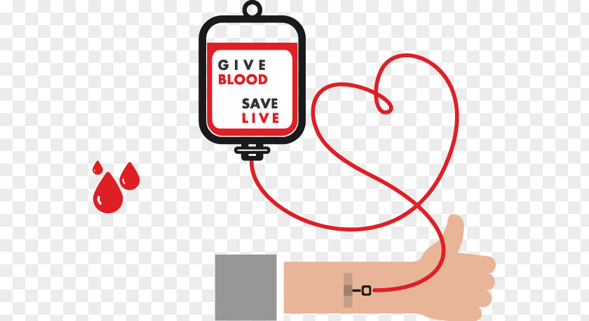 Vector Painted Blood Donation Transfusion Euclidean PNG