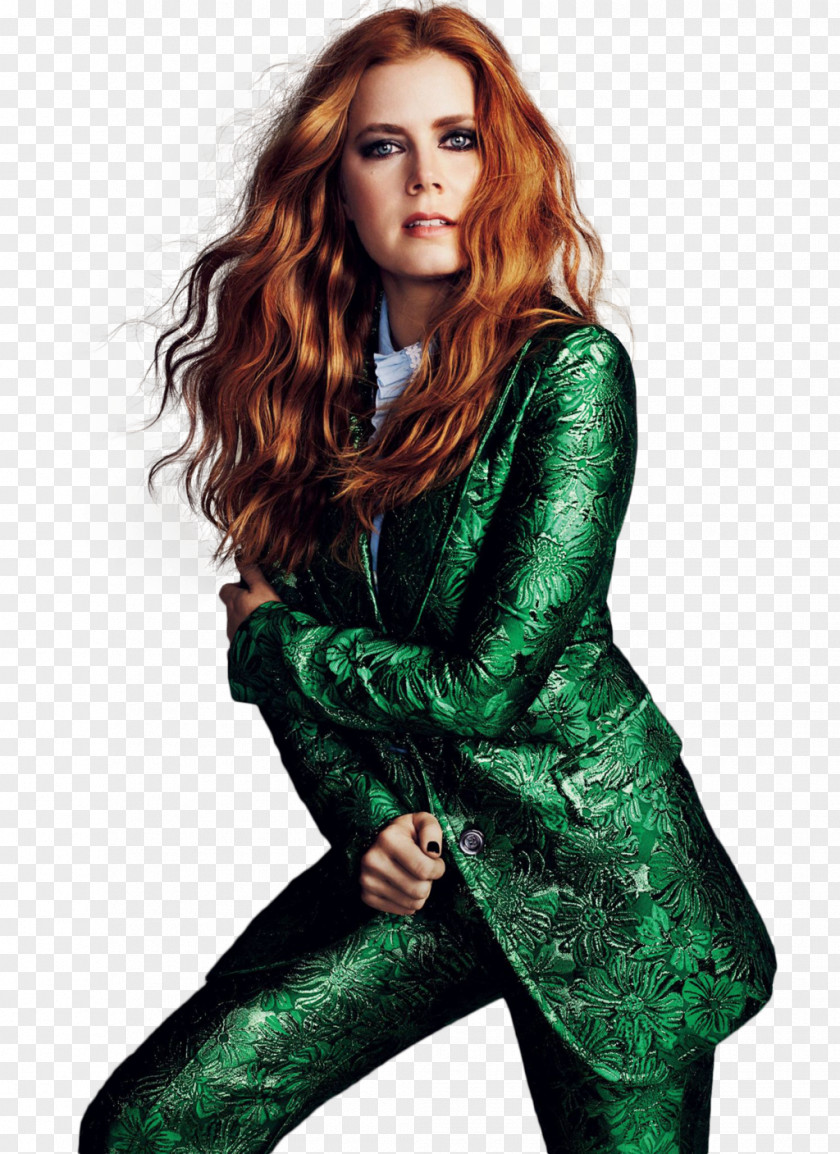 Amy Adams Enchanted Lois Lane Image PNG