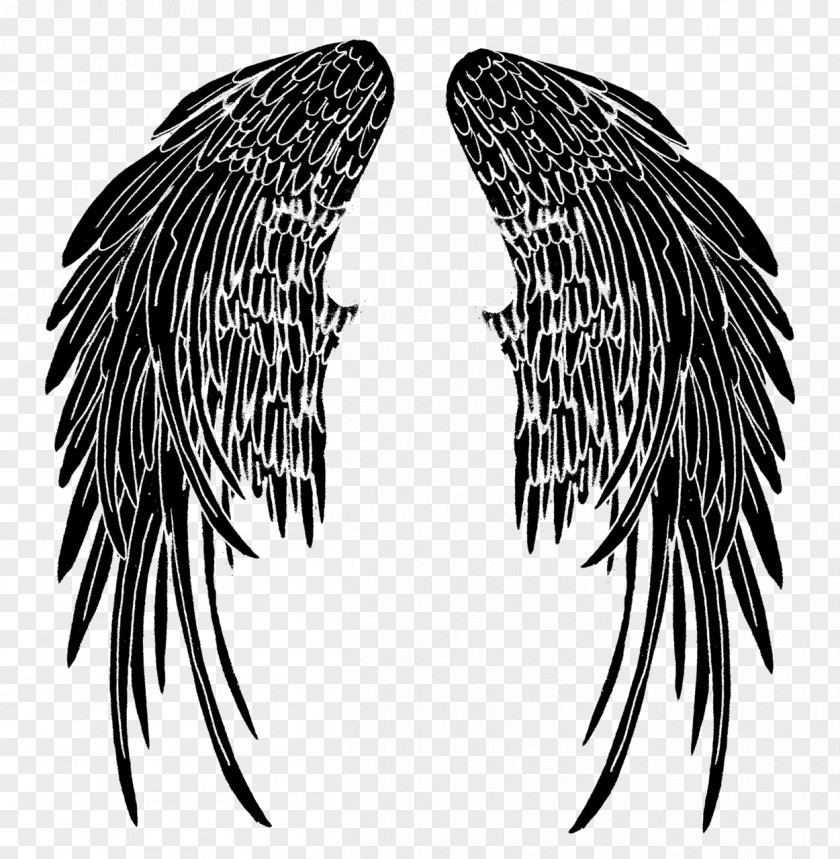 Angel Drawing Fallen Image PNG