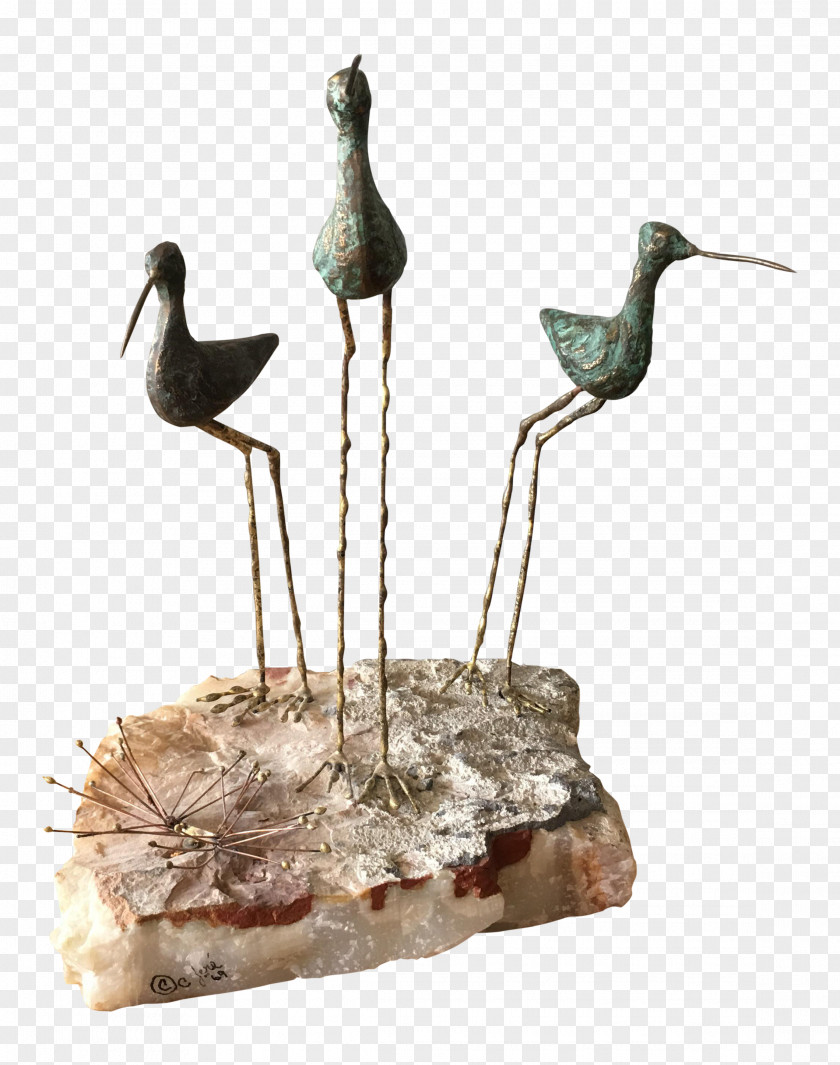 Bird Water Fauna Beak Wader PNG