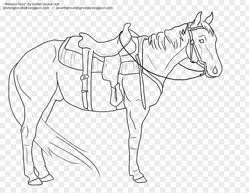 Mustang Coloring Book Western Saddle Horse Tack PNG