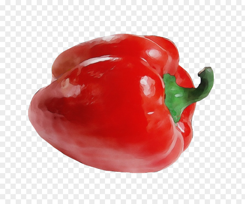 Peperoncini Vegetable Pimiento Bell Pepper Peppers And Chili Red PNG
