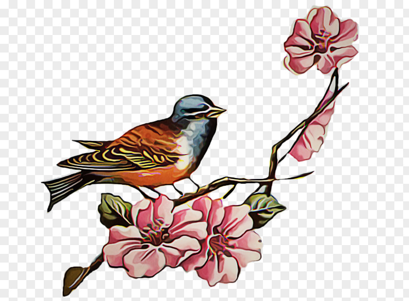 Robin Magnolia Family Drawing Of PNG