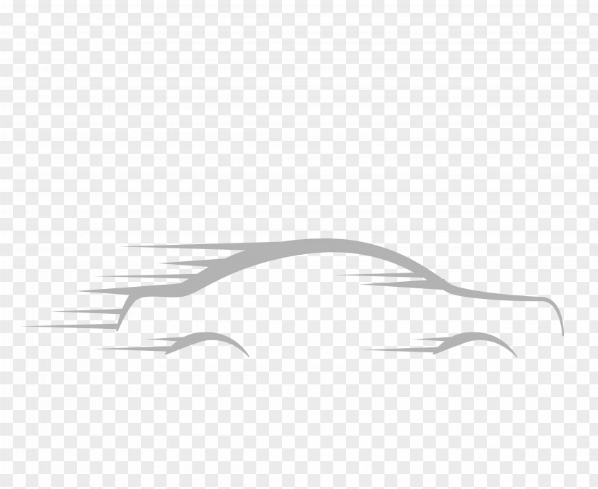 Vector Speed Car Streamline Picture PNG