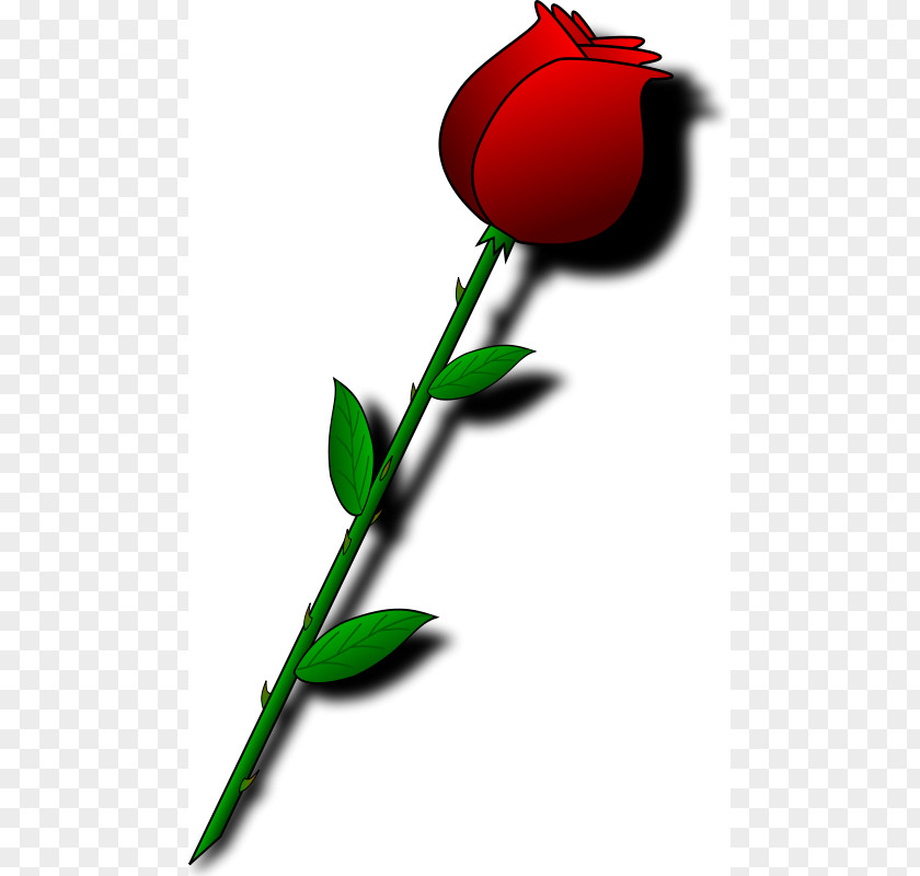 Bud Cliparts Valentine's Day Flower Bouquet Clip Art PNG