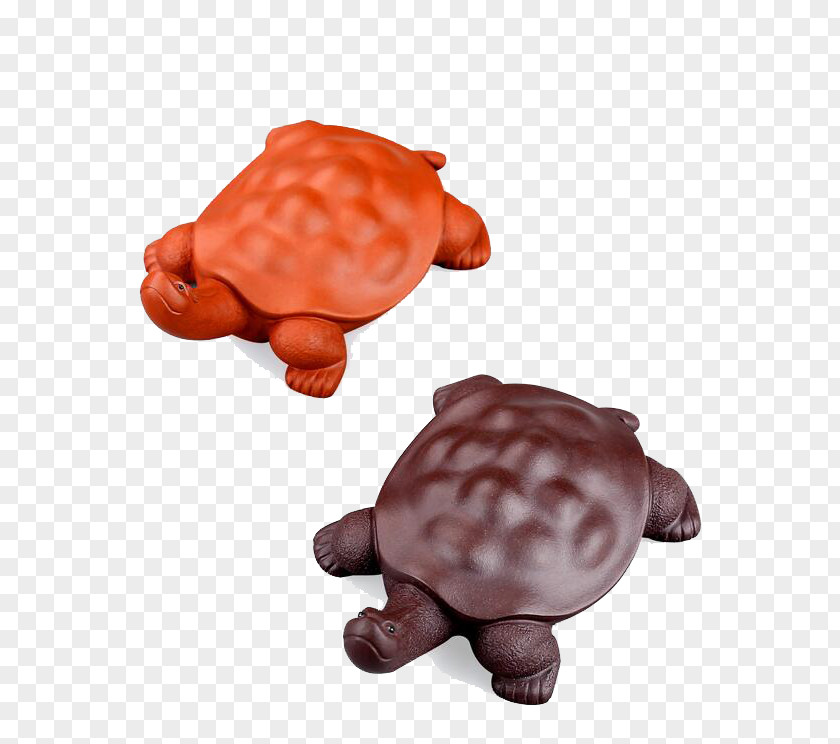 Lucky Dragon Turtle Tea Download Google Images Computer File PNG