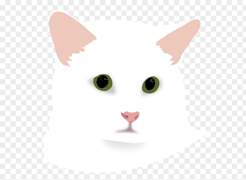Nya Cliparts Kitten Whiskers Free Content Clip Art PNG